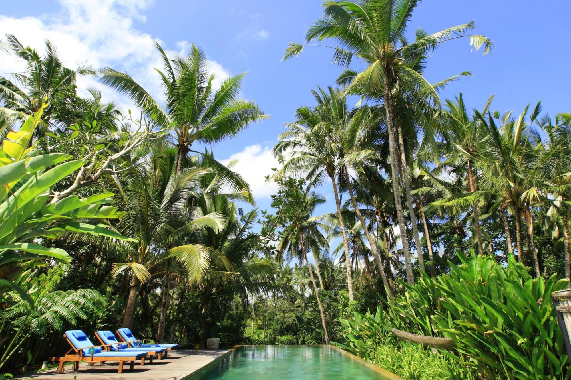 Swarapadi Villa Ubud Zewnętrze zdjęcie